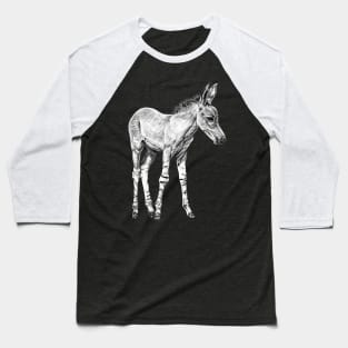 Somali wild ass foal illustration Baseball T-Shirt